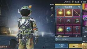 国际服极品宝箱最新爆料,最新爆料揭示神秘宝藏！